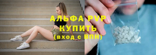 стаф Кукмор
