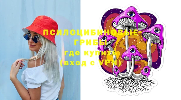 стаф Кукмор