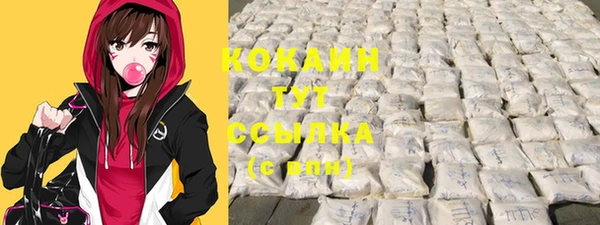 стаф Кукмор
