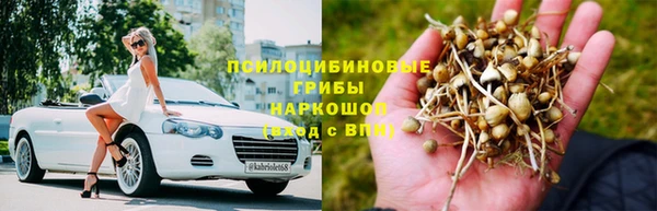 стаф Кукмор