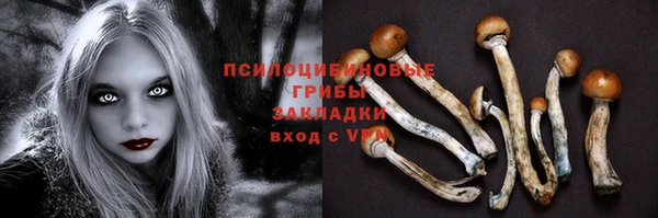 стаф Кукмор