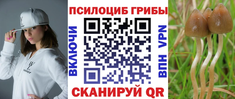 дарнет шоп Спасск OMG сайт Псилоцибиновые грибы мицелий